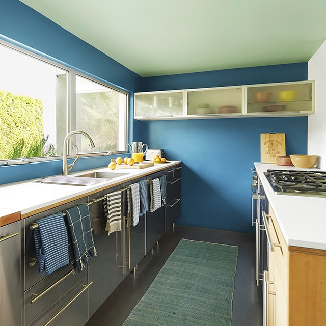Dark blue-painted walls and a cheerful green ceiling in a sleek galley kitchen with stainless appliances and a green-blue area rug.