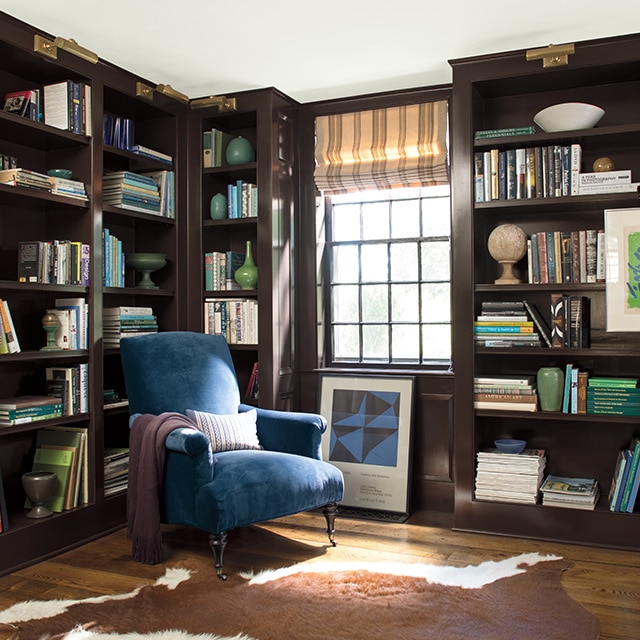 A rich, dark brown painted home library with built-in floor-to-ceiling filled bookshelves and sunlight streaming on a blue velvet chair. 