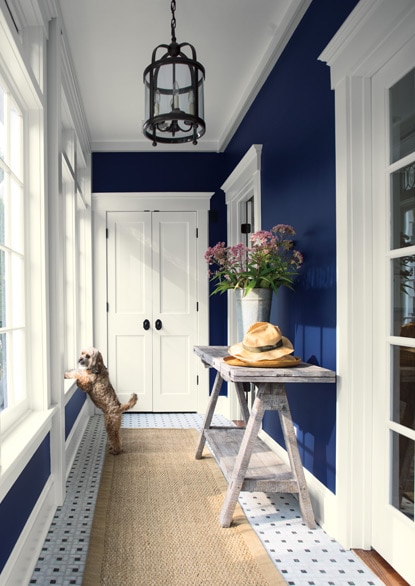 A dark blue-painted hallway with white trim and pendant lighting fixture.